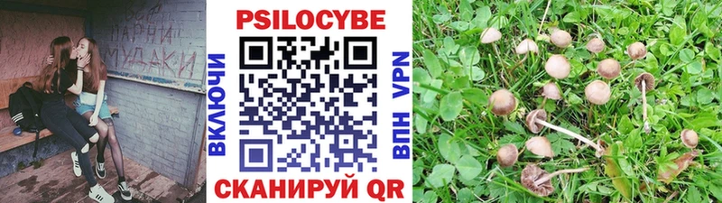 Галлюциногенные грибы прущие грибы  Краснодар 